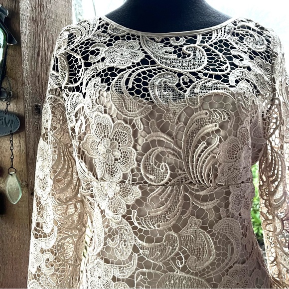 Adrianna Papell Elegant Palest Beige Lace Overlay Back Zip 3/4 Sleeves Dress 10 - Picture 3 of 11